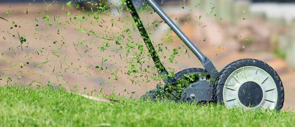 Autumn Lawn Care Tip Grass mowing