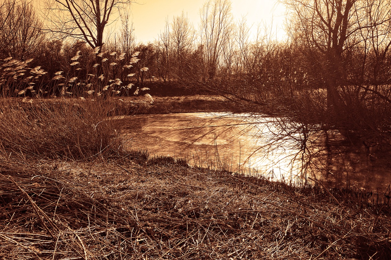 pond warmth