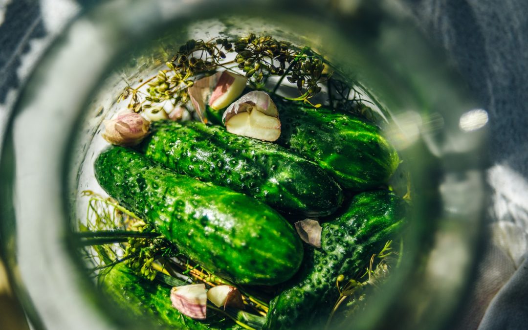 5 Common Cucumber Plant Problems and Solutions