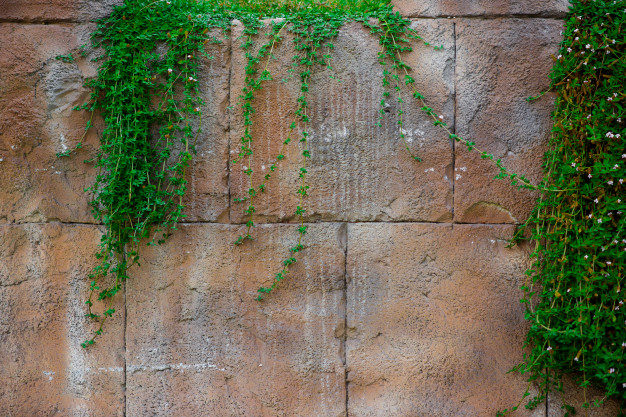 Retaining Walls